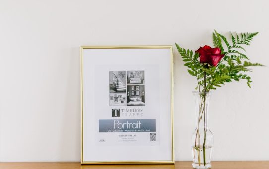 Photo canvas print