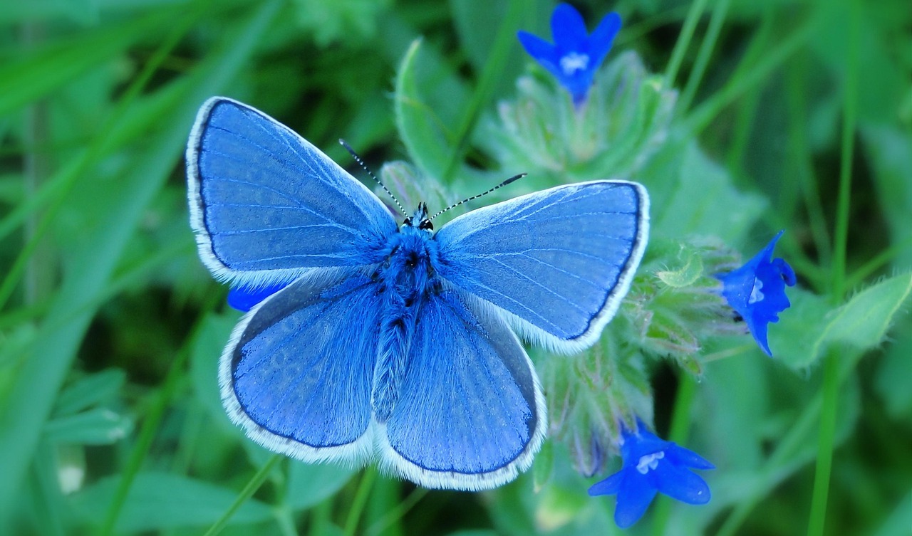 Natuurlijke stenen paden in een duurzame tuin.
