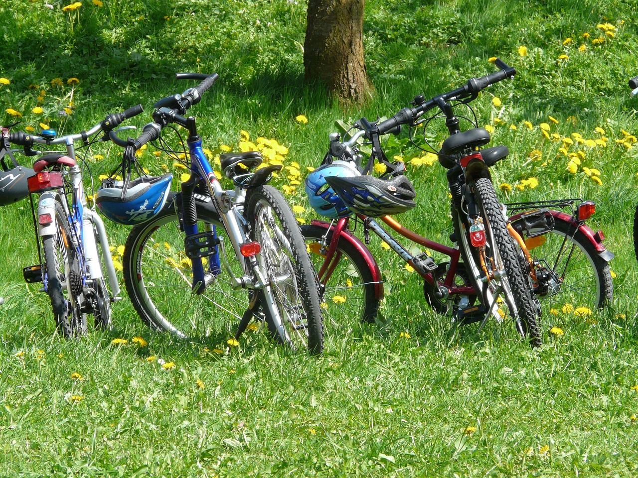 Gezinnen picknicken onder bloeiende lentebomen. Gezinnen picknicken onder bloeiende lentebomen.
