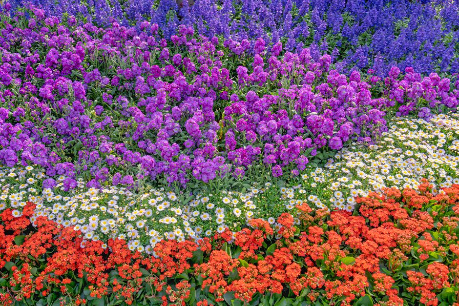 Tuinposter met eigen ontwerp in een levendige tuin. Tuinposter met eigen ontwerp in een levendige tuin.