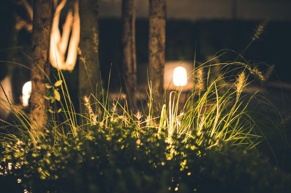 LED-bollampen creëren speelse schaduwpatronen op gras.