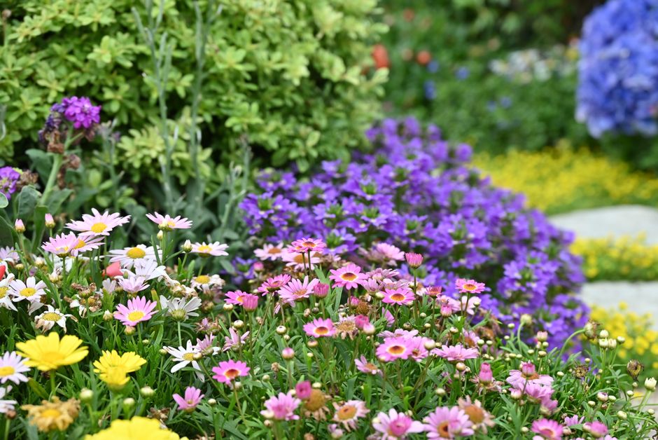 Regenwatervat in tuin met planten. Regenwatervat in tuin met planten.